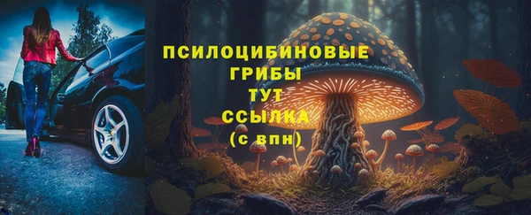 PSILOCYBIN Волосово