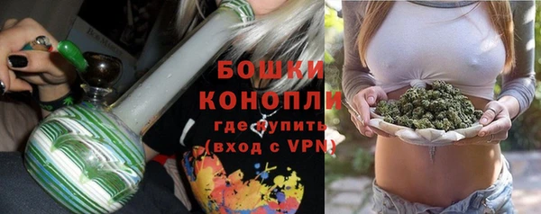 PSILOCYBIN Волосово